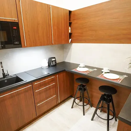 Apartment Elegant & Stylish Center Apartments! *