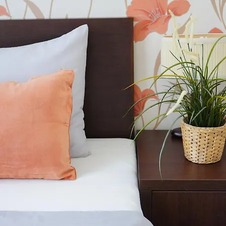 Elegant & Stylish Center Apartments! Apartment
