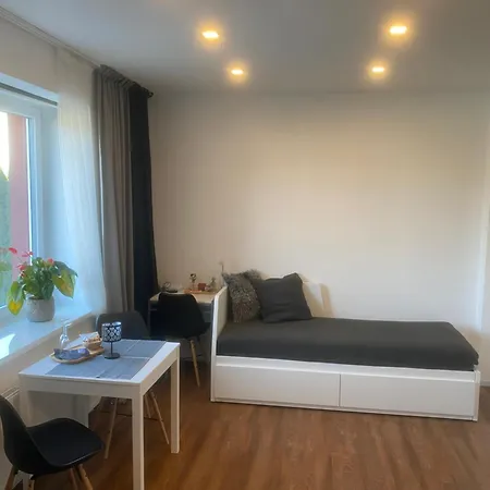 2+kk, 50 M2 V Klidne Lokalite. 10 Min Od Centra Prahy. 公寓 *