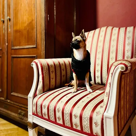 Small Luxury Palace 4*