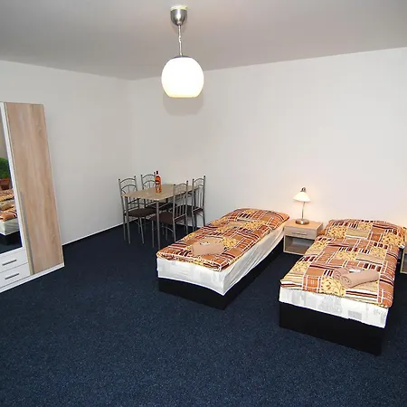 Apartment Chodov *