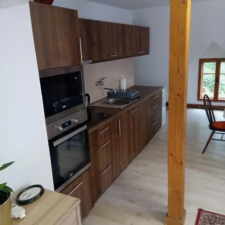 Historic Apartament