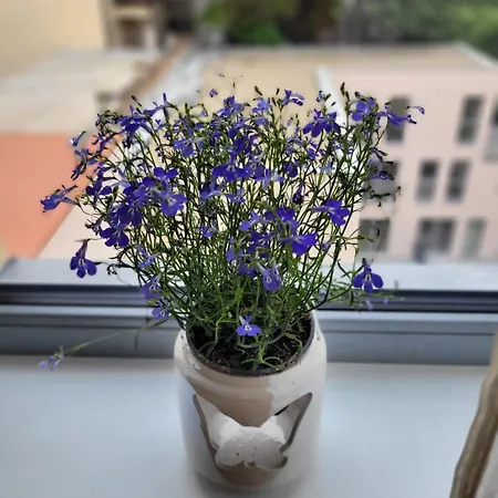 Apartment Klidne Misto Pro Tebe Prague