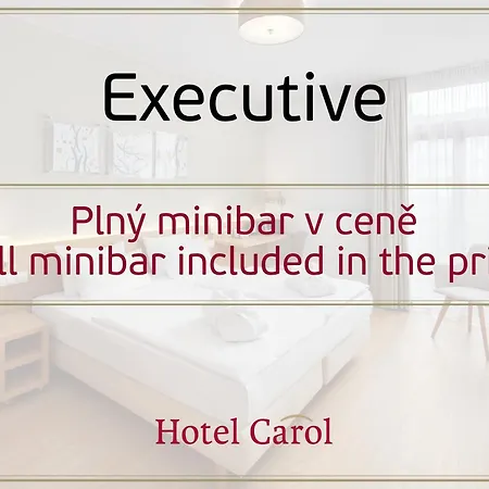 Carol Hotel