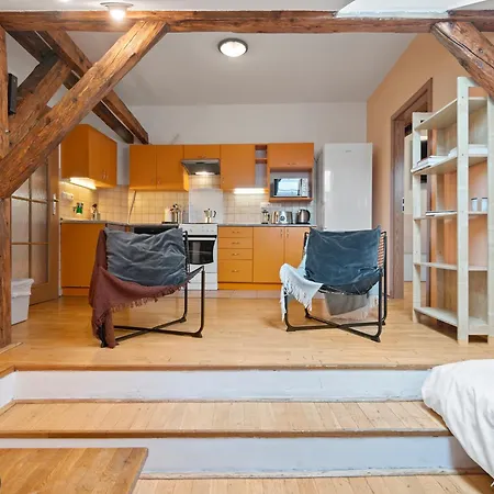 Vintage Apts In Heart Of By Michal&friends Apartment