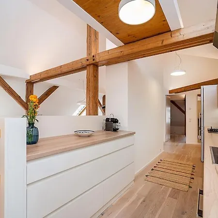 Fantastic Attic With Big Terrace * Praga