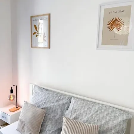 Apartment Platinum Xl 310