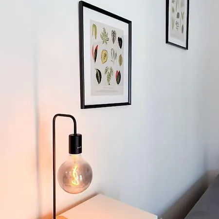 Platinum Xl 310 Apartment *