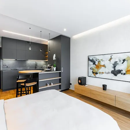 Manazerske Bydleni - Rohan Apartment Prague