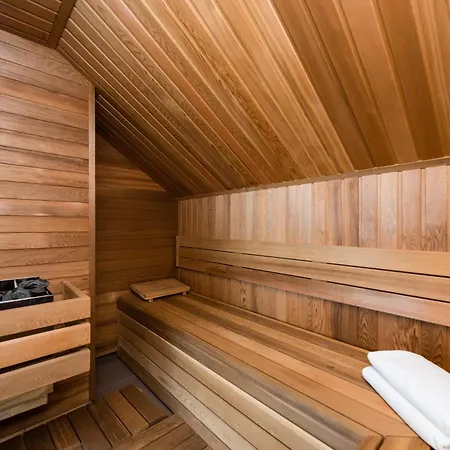 Presidential Penthouse, 303m2, Jacuzzi On Terrace, Sauna, 6bdrm, 4bthrm, Ac, Lift Apartment Prague