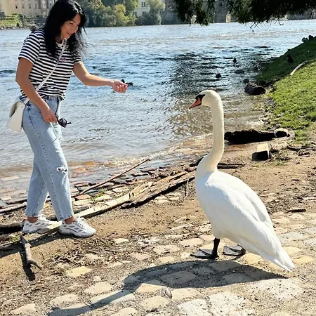 гостевой дом проживание в семье * Praha