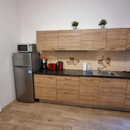 Krakovska 20 Appartamento Praga