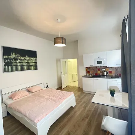 Apartment Petrska In 1