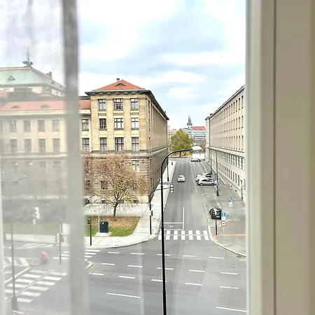 Treetess Centre * Praga