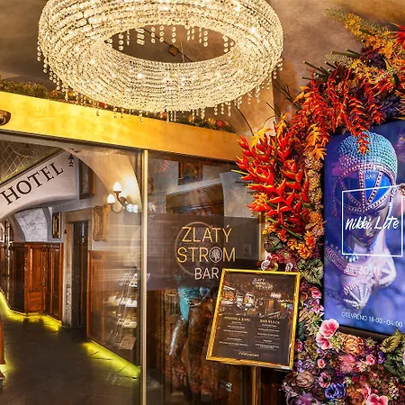U Zlateho Stromu By Bhg Hotel