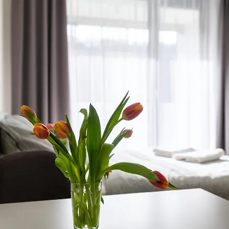 Apartment 12 Min Centrum, 200mb Wifi, Onsite Supermarket