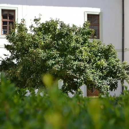 Adalbert Ecohotel