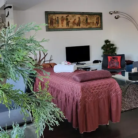 شقة Luxury - Free Massages From Physiotherapists براغ