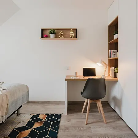 Days - Attic 1bdr - Workspace - Garage - Smichov Prague