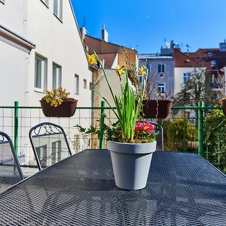 Apartment Cozy With Terrace Near Castle *