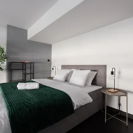Loft Spacious In Apartment *