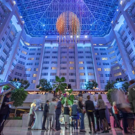 Hotel Hilton