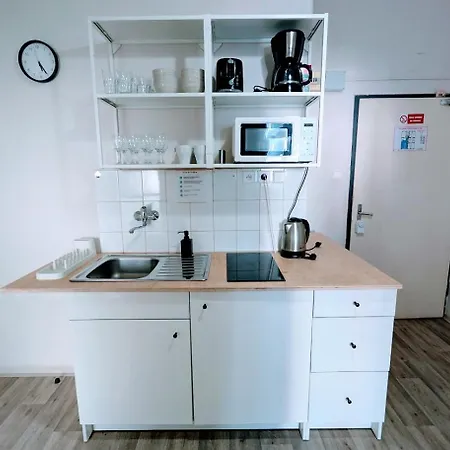 Flat In Zizkov -103- * Praha