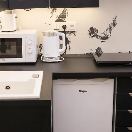 Black & White Apartment Prague By Wenceslas Square And Muzeum * Prag