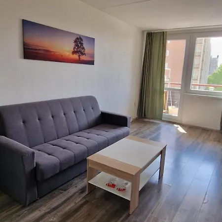 Apartment Chodov