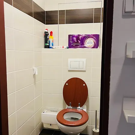 Chodov Apartment *