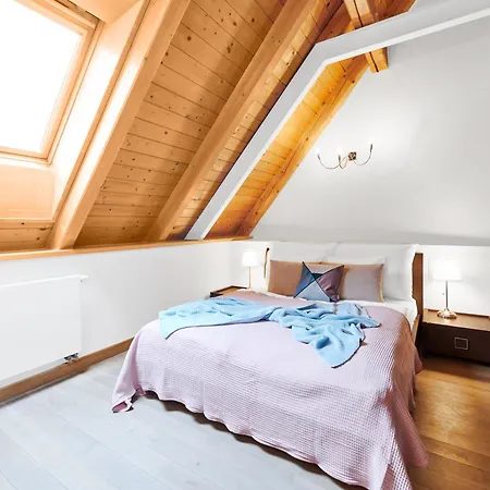 Apartman Vip Petrska 25 *