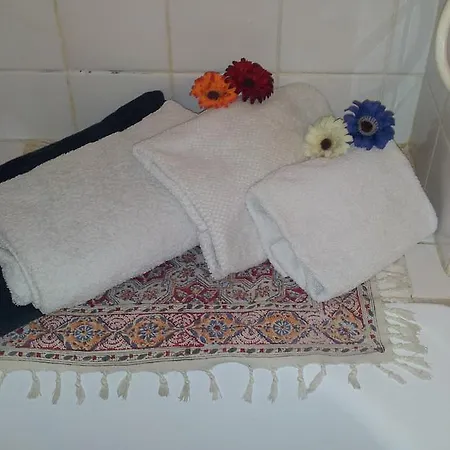 Apartamento Naprstkova Praga