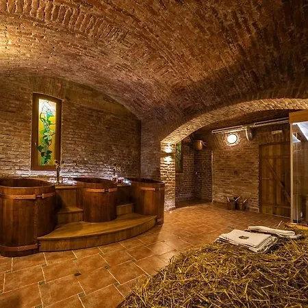 Hotel apartamentowy Hotel Suite Home Prague Praga