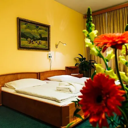 Wellness & Treatment Ghc 4*