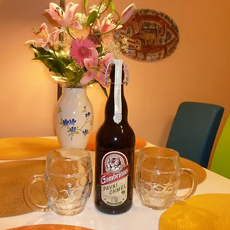 Apartment Shumava
