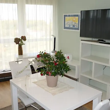 Apartment Penthouses Vinice *