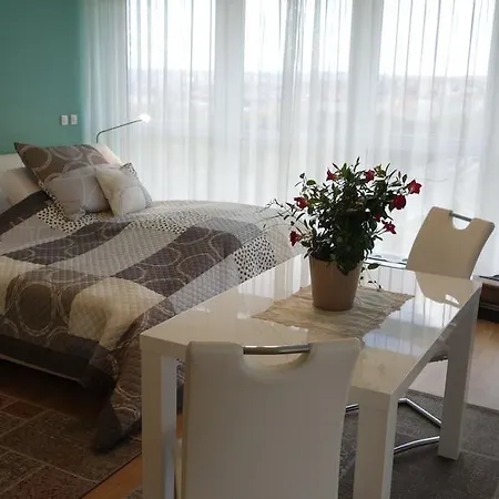 Apartment Penthouses Vinice
