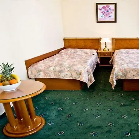 Melantrich Otel 3*
