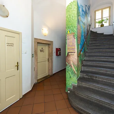 Hostel Mango