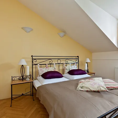 Hotel Black Star