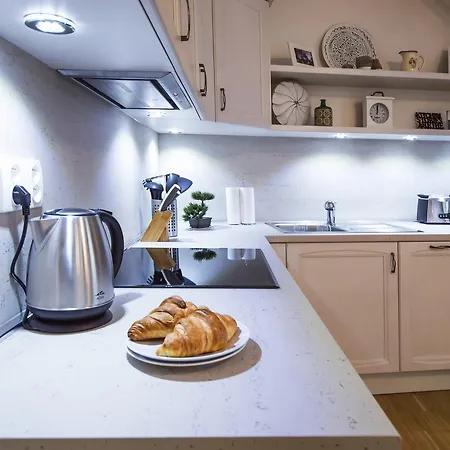 Modern Charvatova Apartment Prague