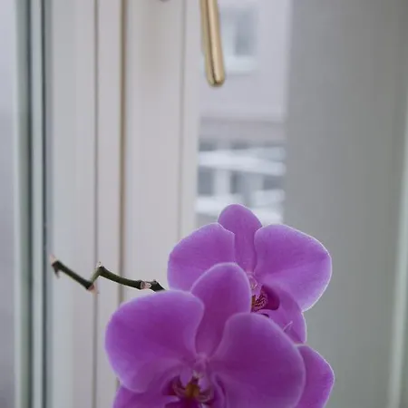 Luxury Spálená Apartman *