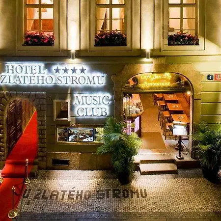 U Zlateho Stromu By Bhg Prague