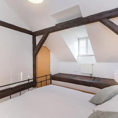 Spacious In The Heart Of Praga