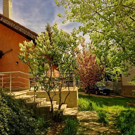 Cozy Gardens In