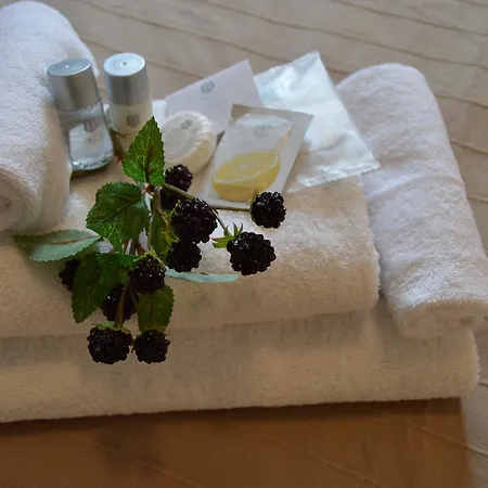 Arena Hotel 3*