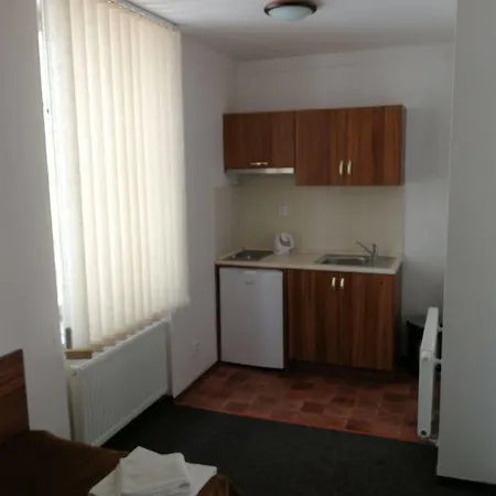 Apartment U Svejku *