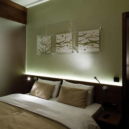 Hotel Carol 4*