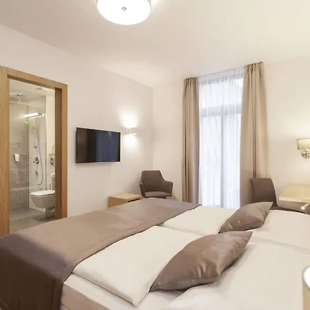 Hotel Carol 4*