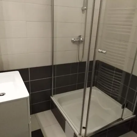 Apartment Central Florenc *